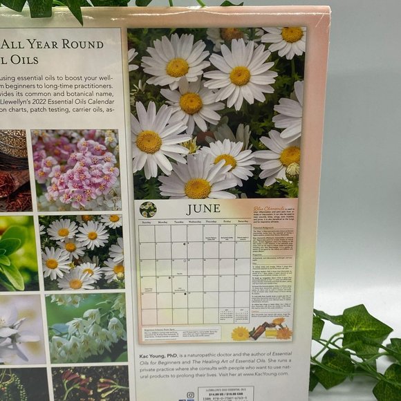 Llewellyn's 2022 Essential Oils Calendar - Picture 3 of 5